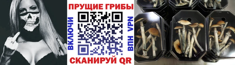 Псилоцибиновые грибы мухоморы Вилючинск